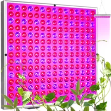 225 LED plant growth lamp/panel 23525