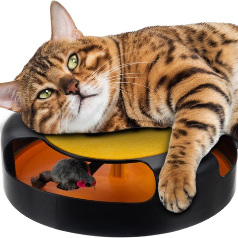 A toy for a cat - a wheel with a mouse