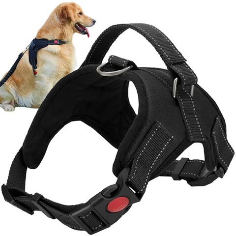 Pressure-free harness for dogs M