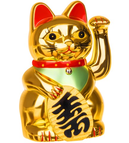 Chinesische Katze - golden