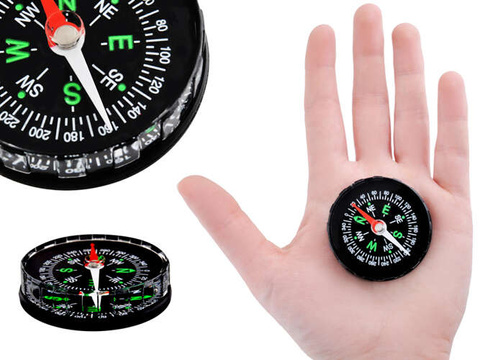 Pocket compass