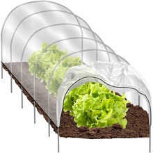 Garden greenhouse - Gardlov tunnel 25382